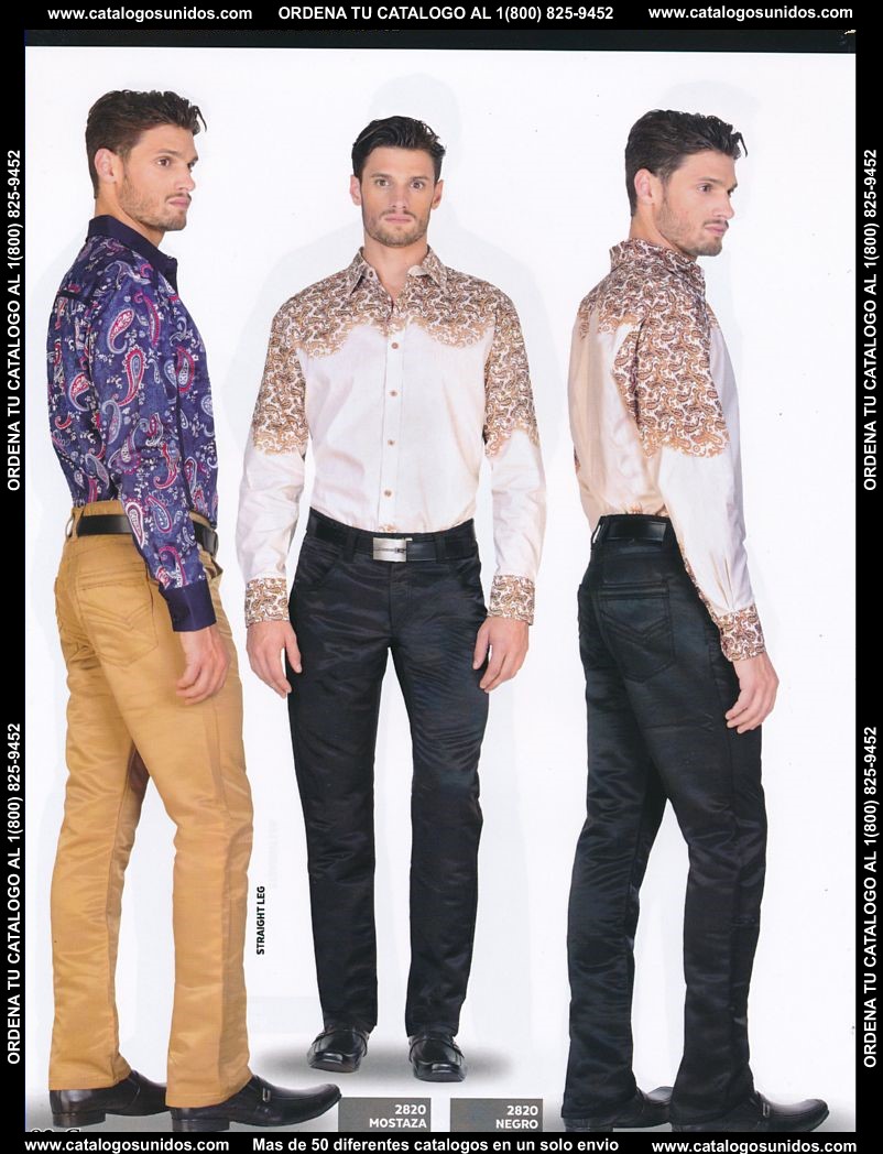 Lamasini_OI_2015_2016_082