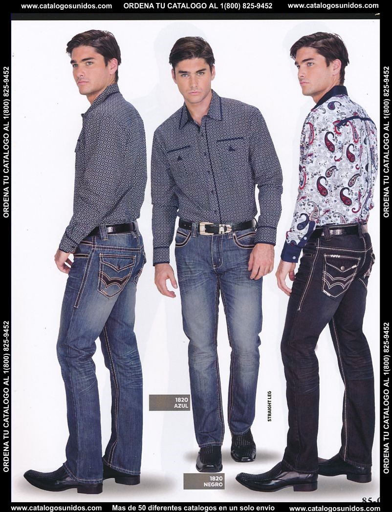 Lamasini_OI_2015_2016_085