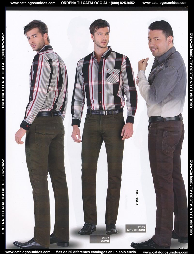 Lamasini_OI_2015_2016_091