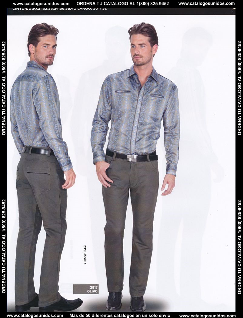 Lamasini_OI_2015_2016_092