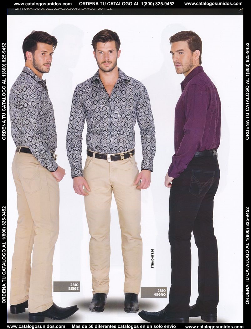 Lamasini_OI_2015_2016_096