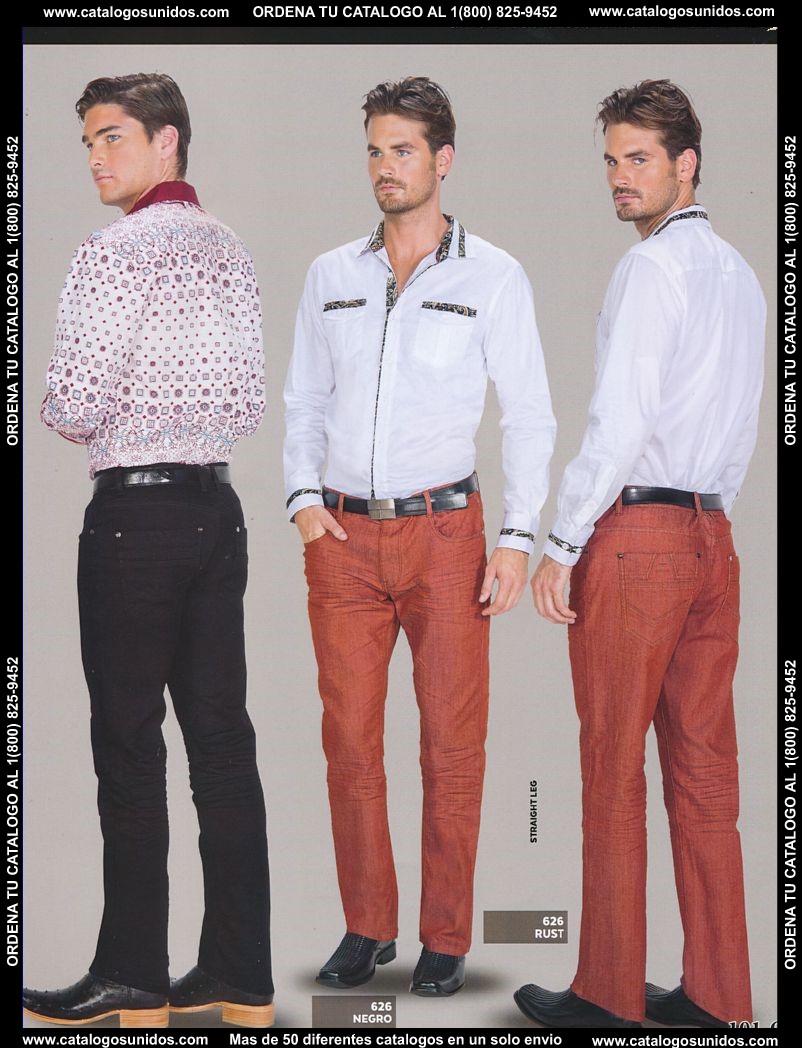 Lamasini_OI_2015_2016_101