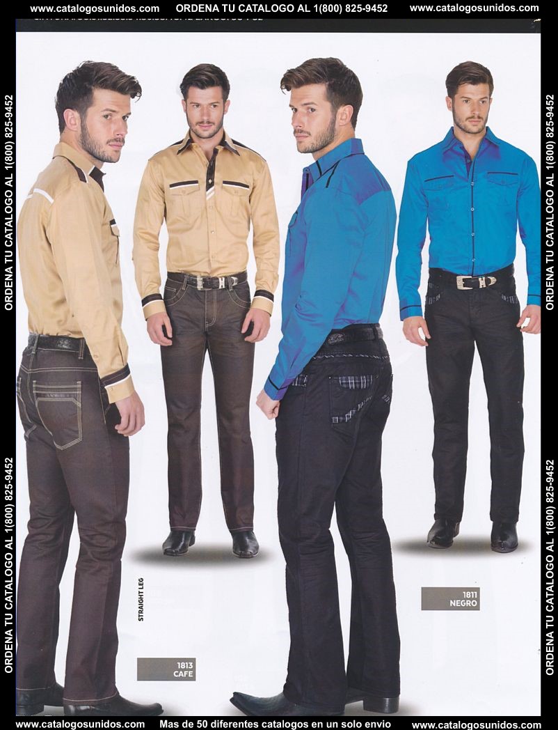 Lamasini_OI_2015_2016_108