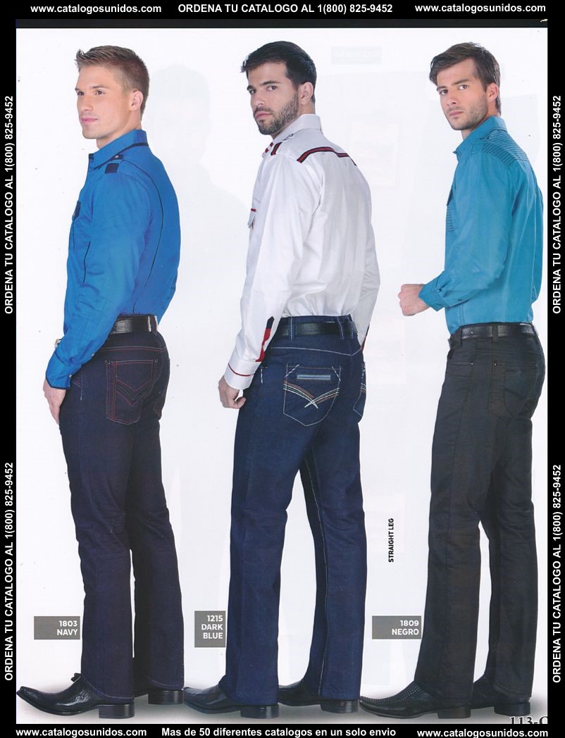 Lamasini_OI_2015_2016_113