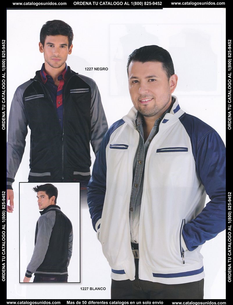 Lamasini_OI_2015_2016_138