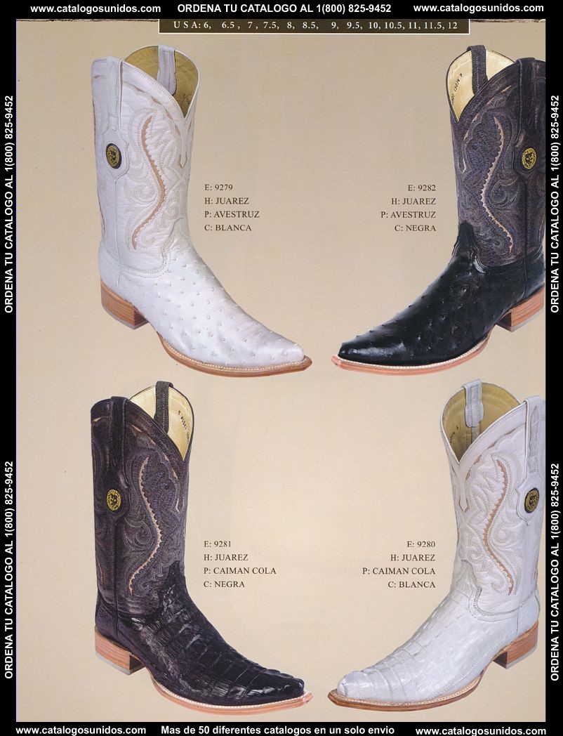 Lamasini_OI_2015_2016_151