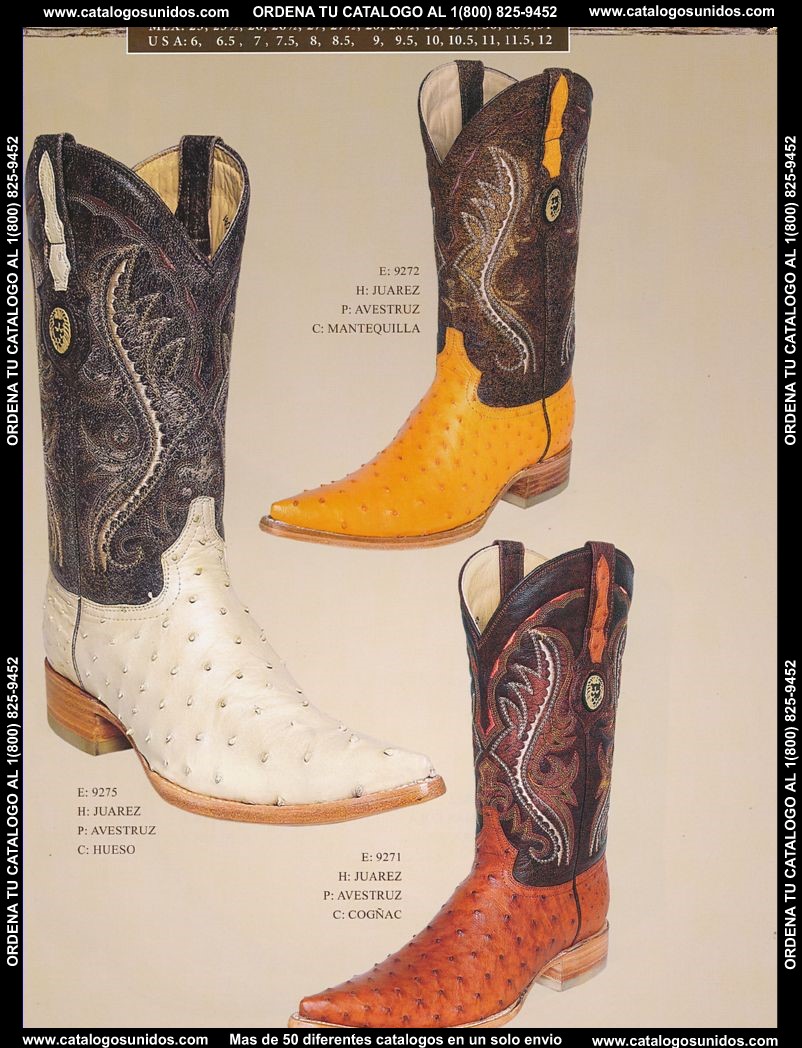 Lamasini_OI_2015_2016_152