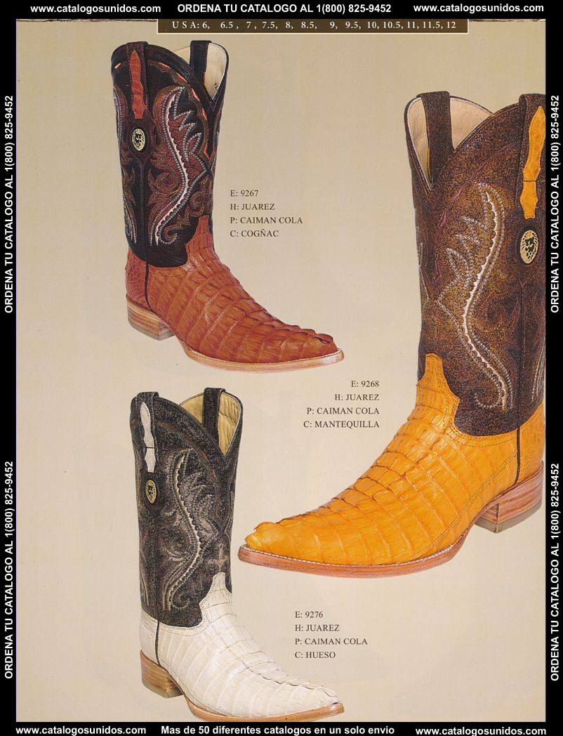 Lamasini_OI_2015_2016_153