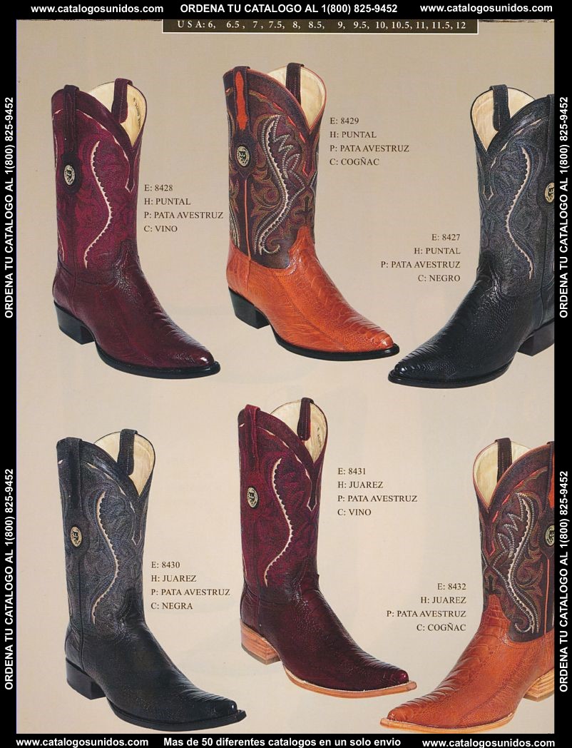 Lamasini_OI_2015_2016_155