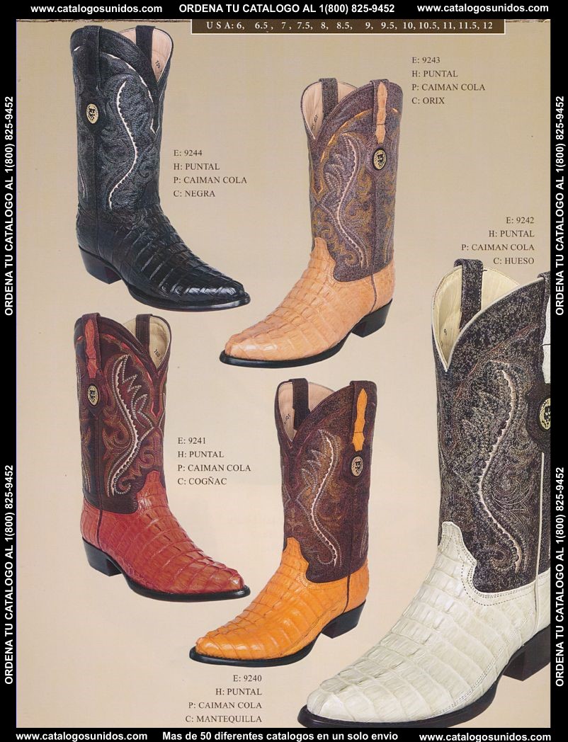 Lamasini_OI_2015_2016_157