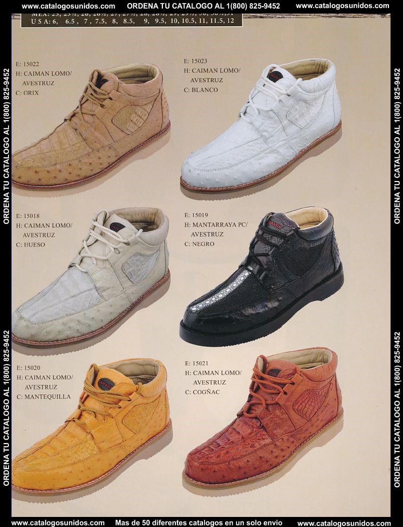 Lamasini_OI_2015_2016_158