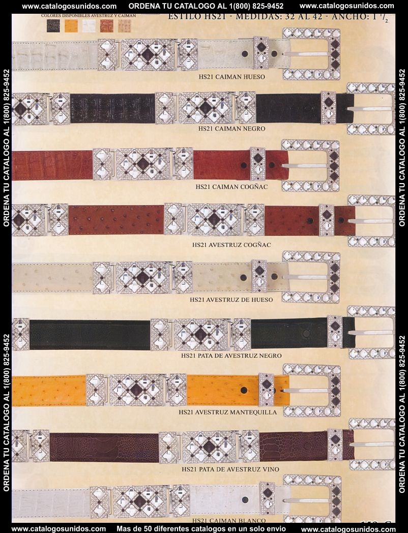 Lamasini_OI_2015_2016_159