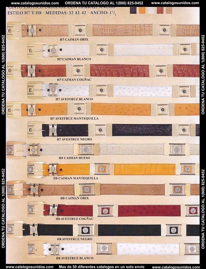 Lamasini_OI_2015_2016_162