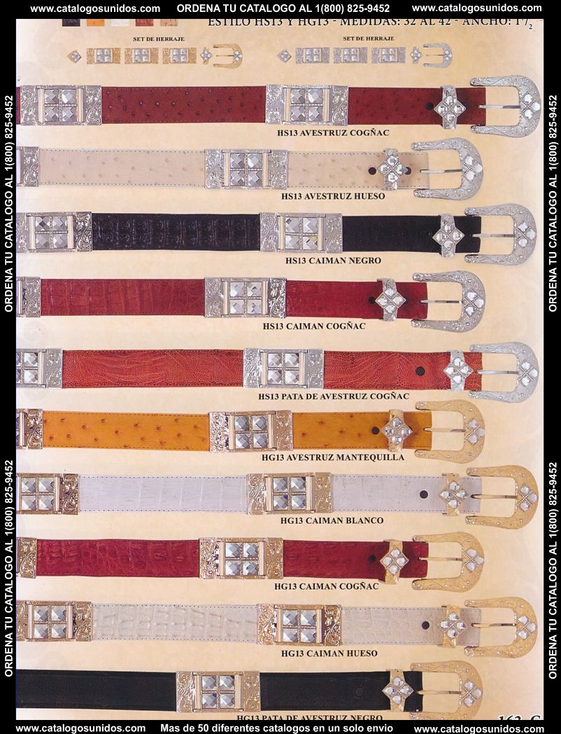 Lamasini_OI_2015_2016_163