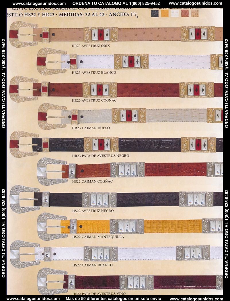 Lamasini_OI_2015_2016_164