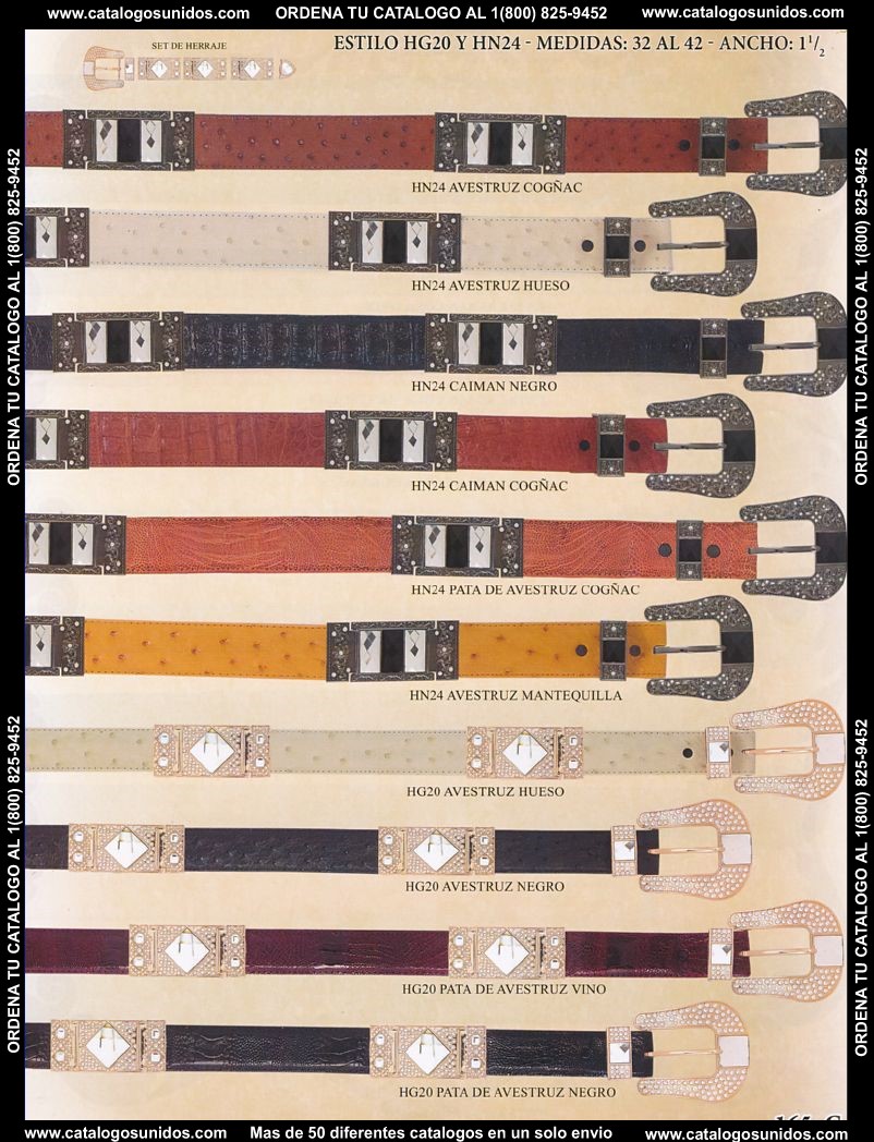 Lamasini_OI_2015_2016_165