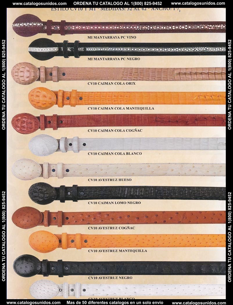 Lamasini_OI_2015_2016_166