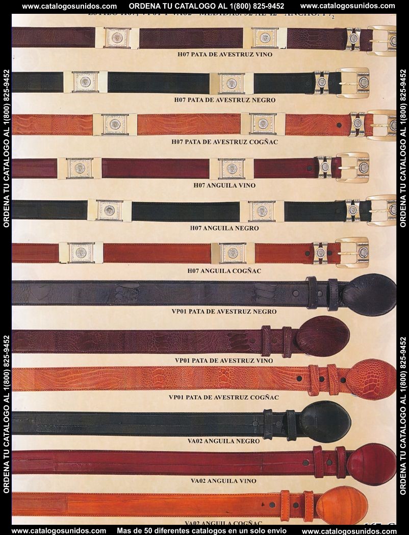 Lamasini_OI_2015_2016_167