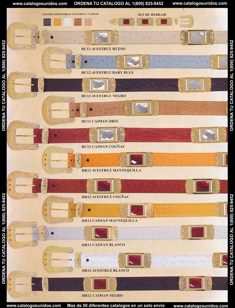 Lamasini_OI_2015_2016_168