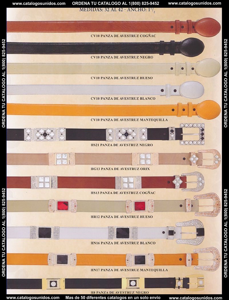 Lamasini_OI_2015_2016_169