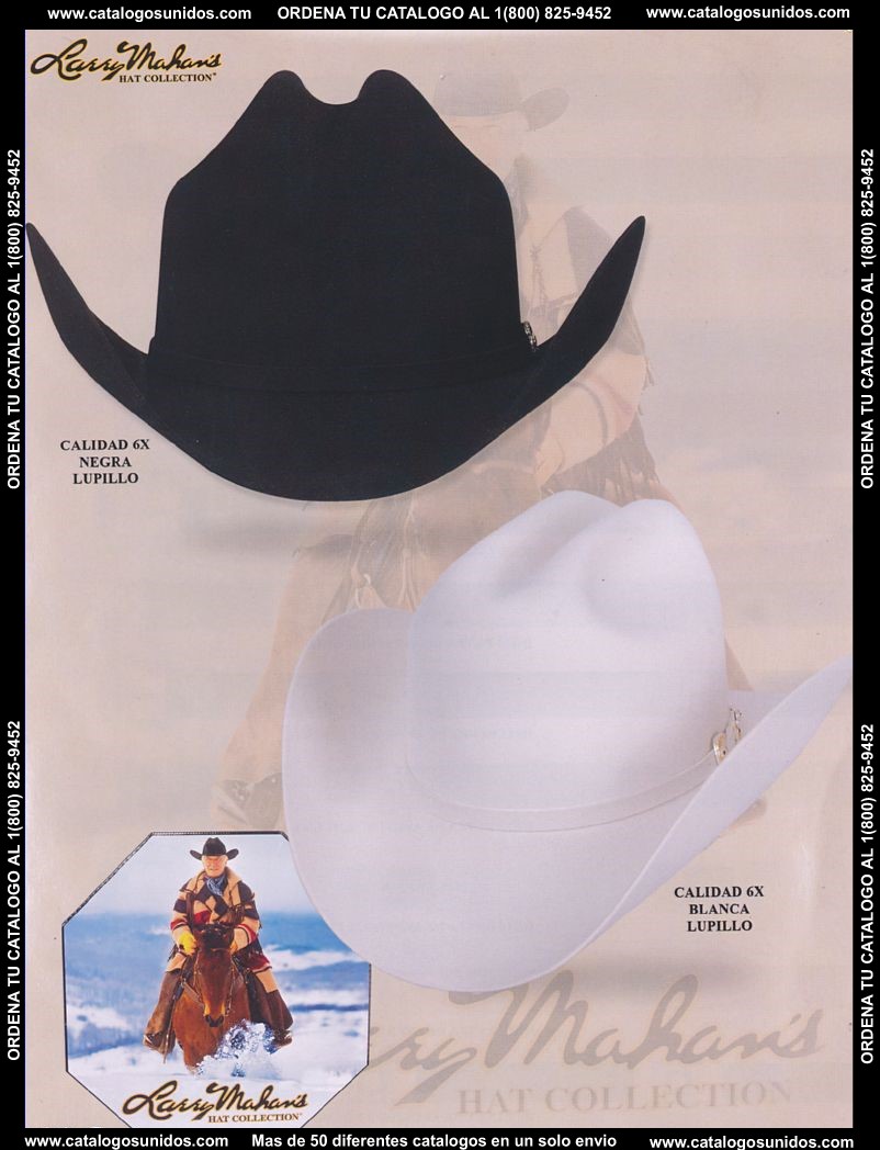 Lamasini_OI_2015_2016_170