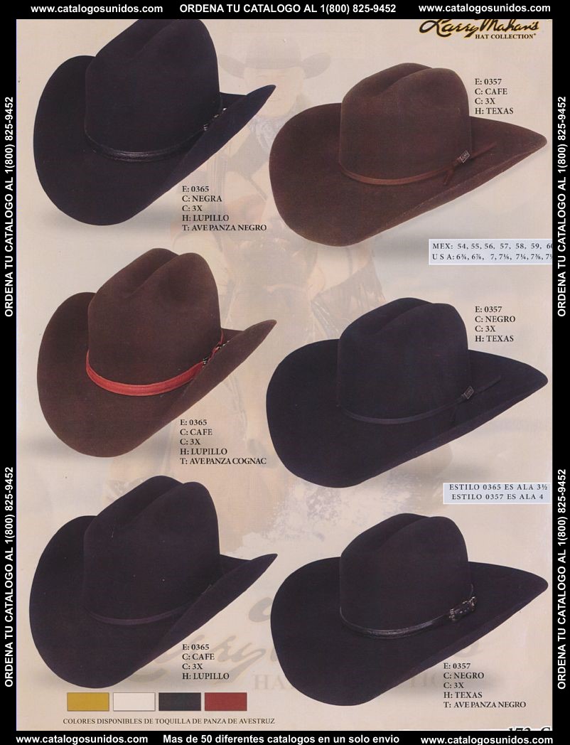 Lamasini_OI_2015_2016_173