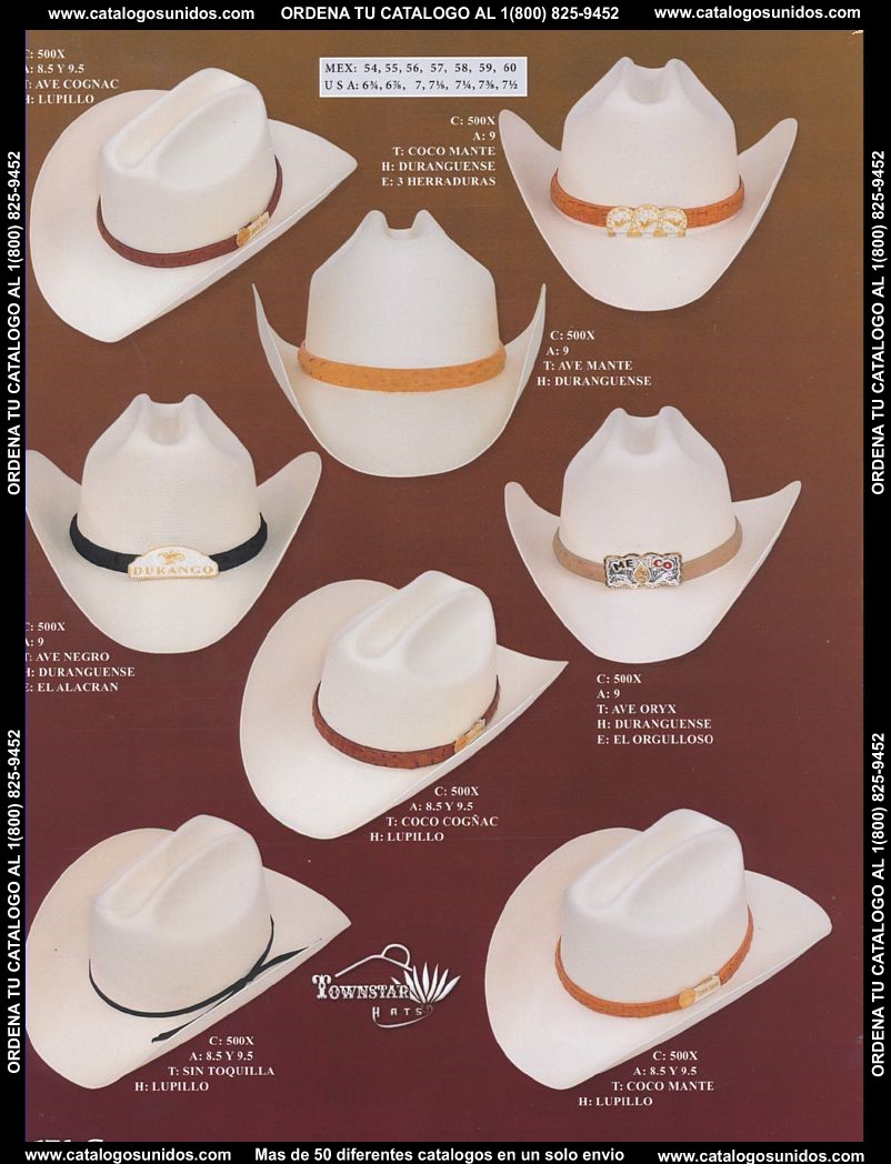 Lamasini_OI_2015_2016_174