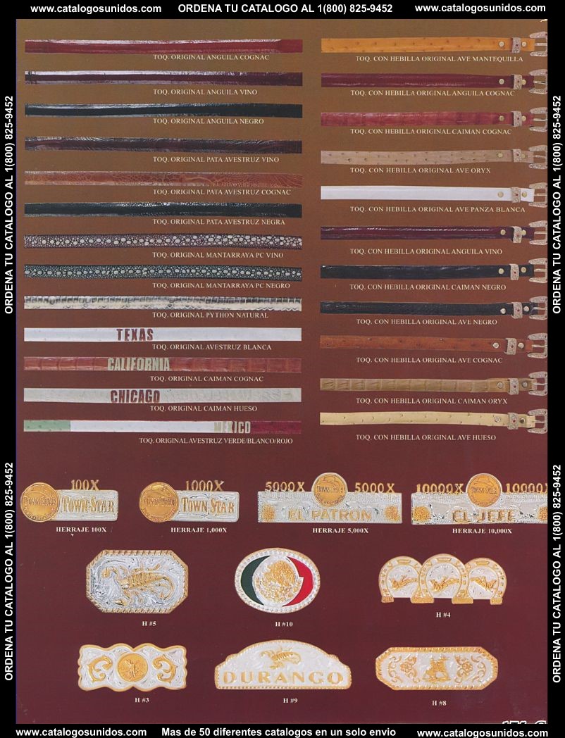 Lamasini_OI_2015_2016_175