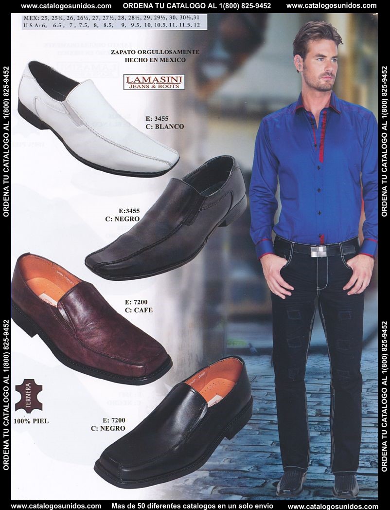 Lamasini_OI_2015_2016_182