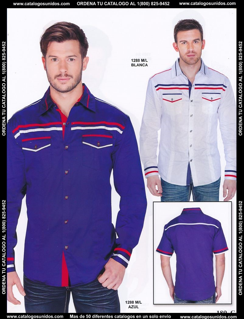 Lamasini_OI_2015_2016_189