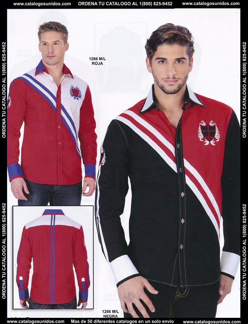 Lamasini_OI_2015_2016_194