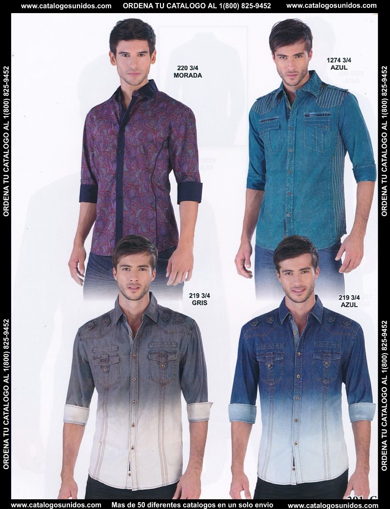 Lamasini_OI_2015_2016_201