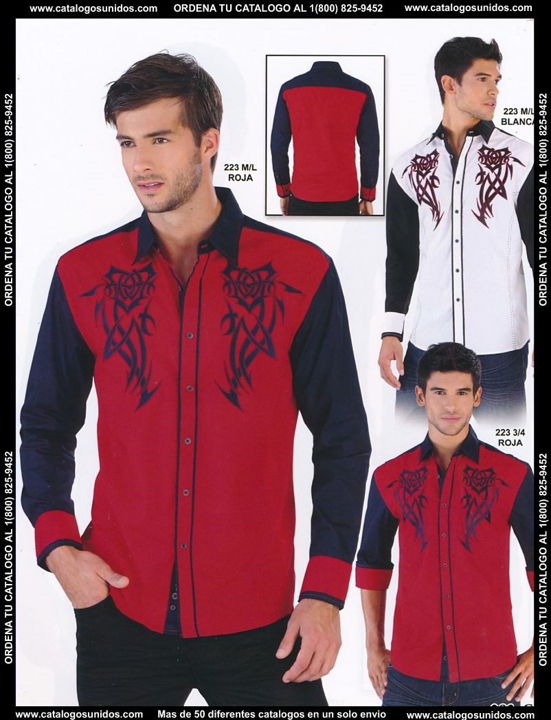 Lamasini_OI_2015_2016_203