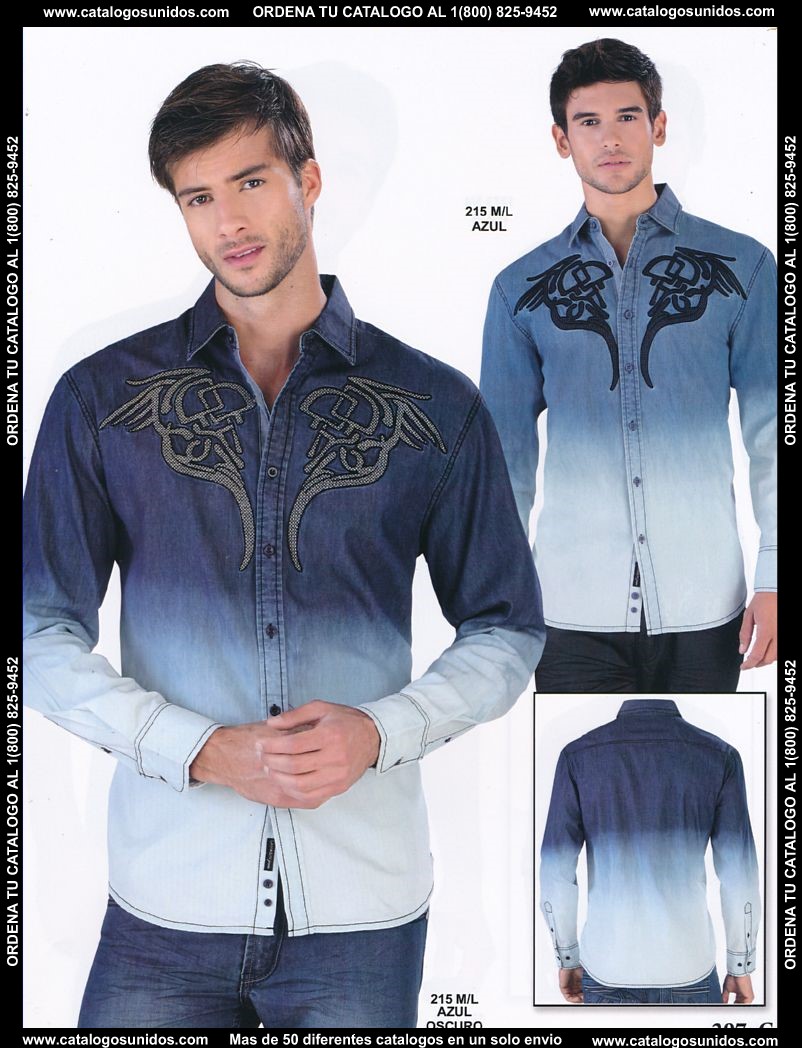 Lamasini_OI_2015_2016_207