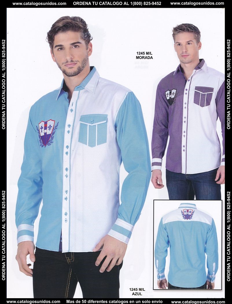 Lamasini_OI_2015_2016_213