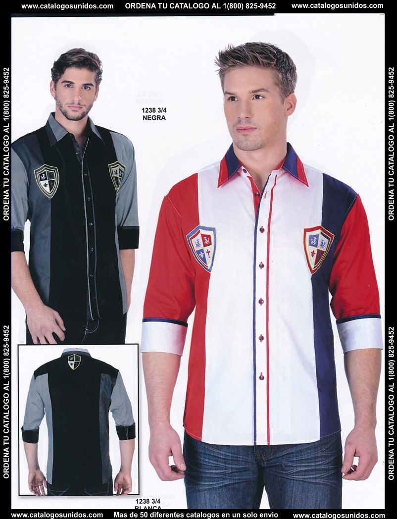 Lamasini_OI_2015_2016_214