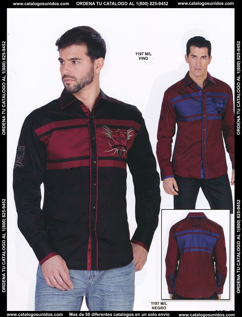 Lamasini_OI_2015_2016_217