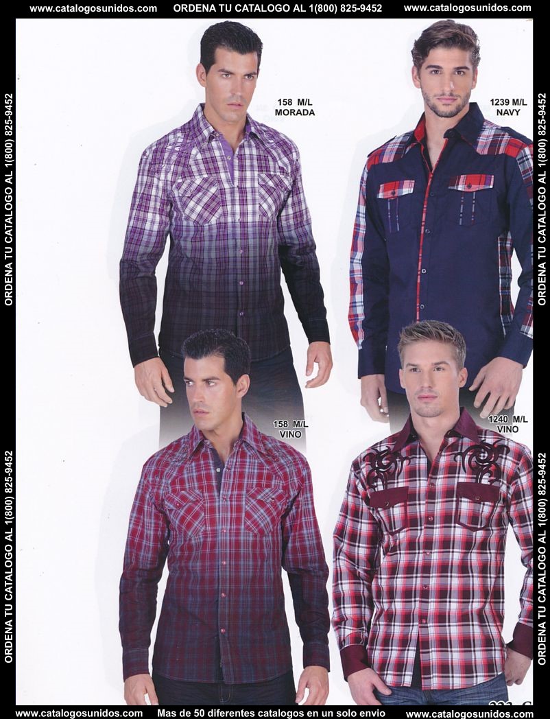 Lamasini_OI_2015_2016_223