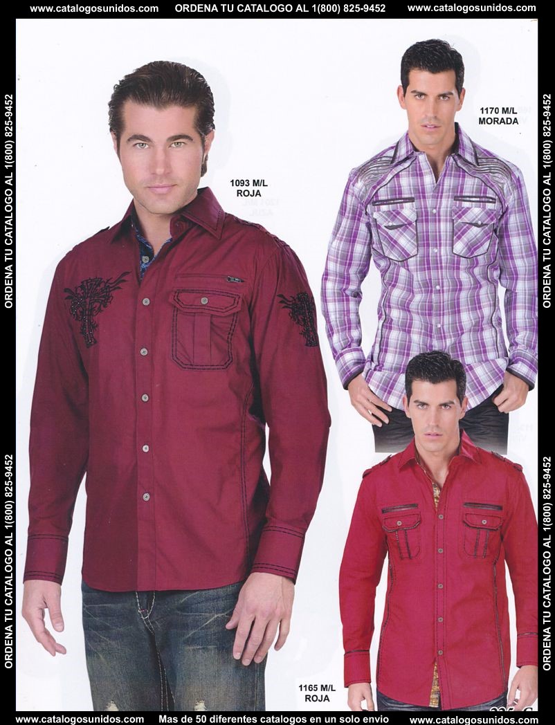 Lamasini_OI_2015_2016_225