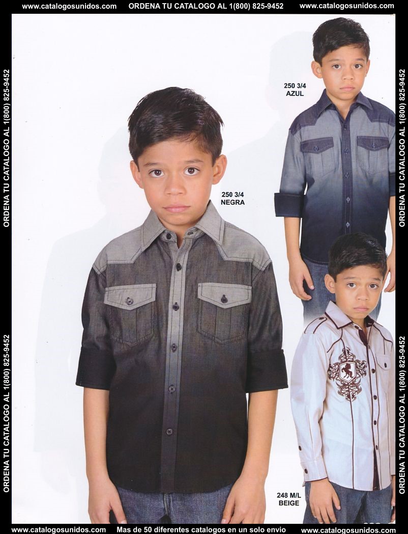 Lamasini_OI_2015_2016_229