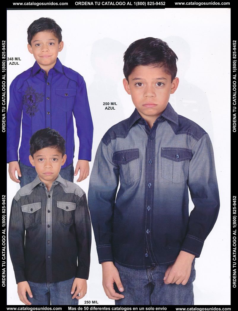 Lamasini_OI_2015_2016_234