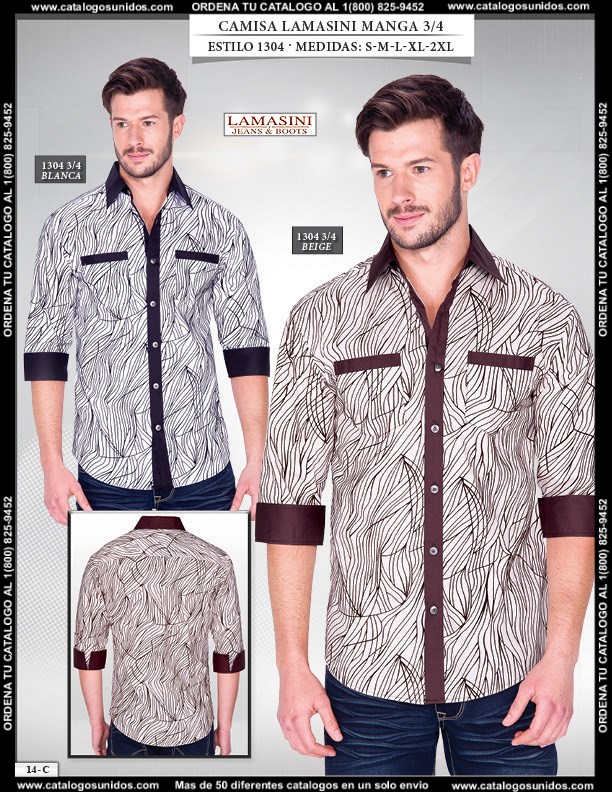 Lamasini_PV15_14
