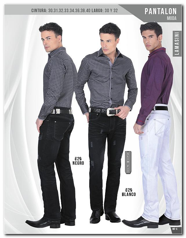 Ver Catalogo