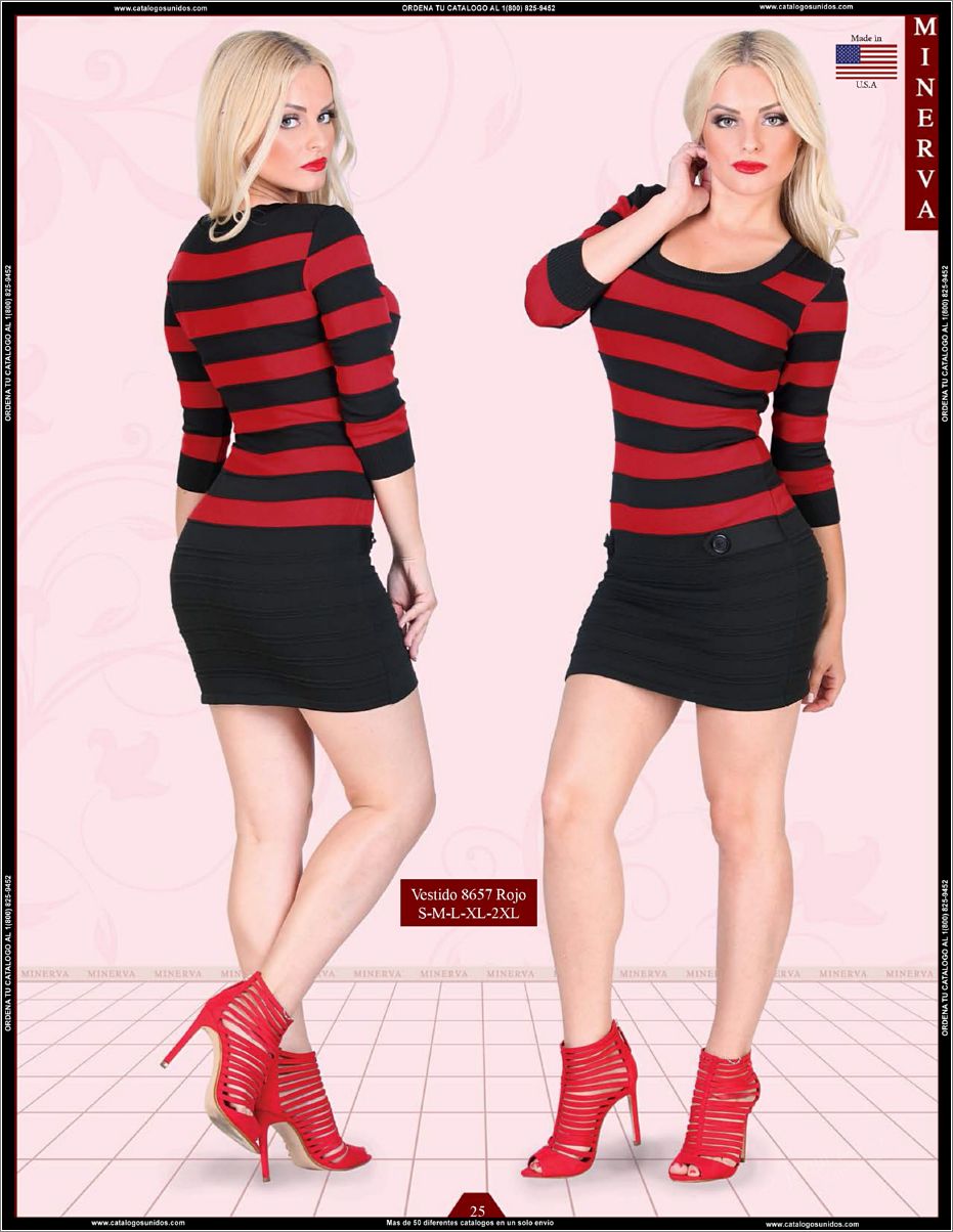 Minerva_OI_2015_2016_Page_025