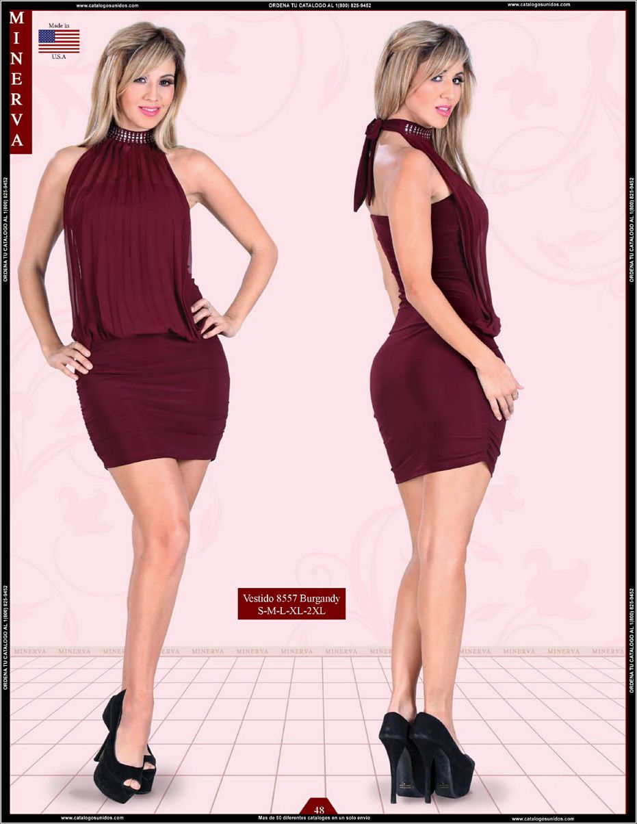 Minerva_OI_2015_2016_Page_048