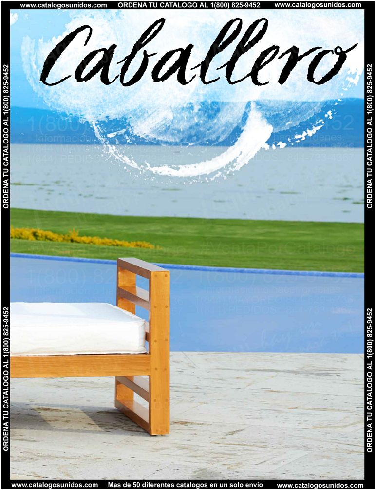 Caballero-PV15_Page_03