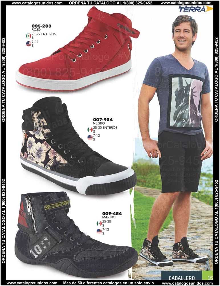 Caballero-PV15_Page_17