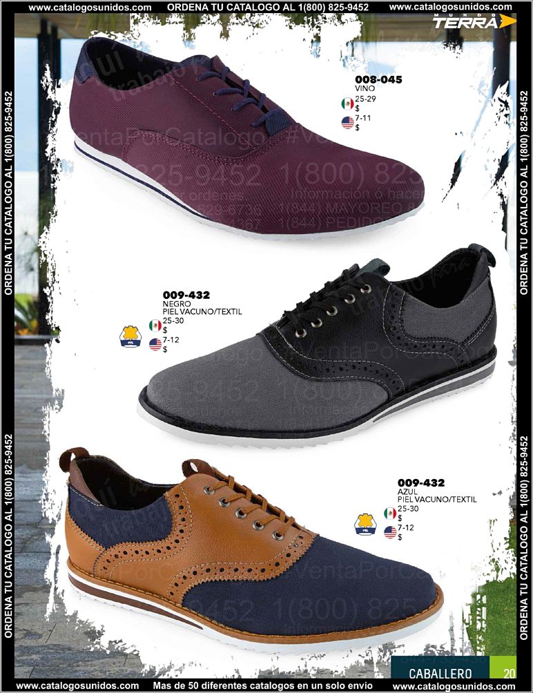 Caballero-PV15_Page_21