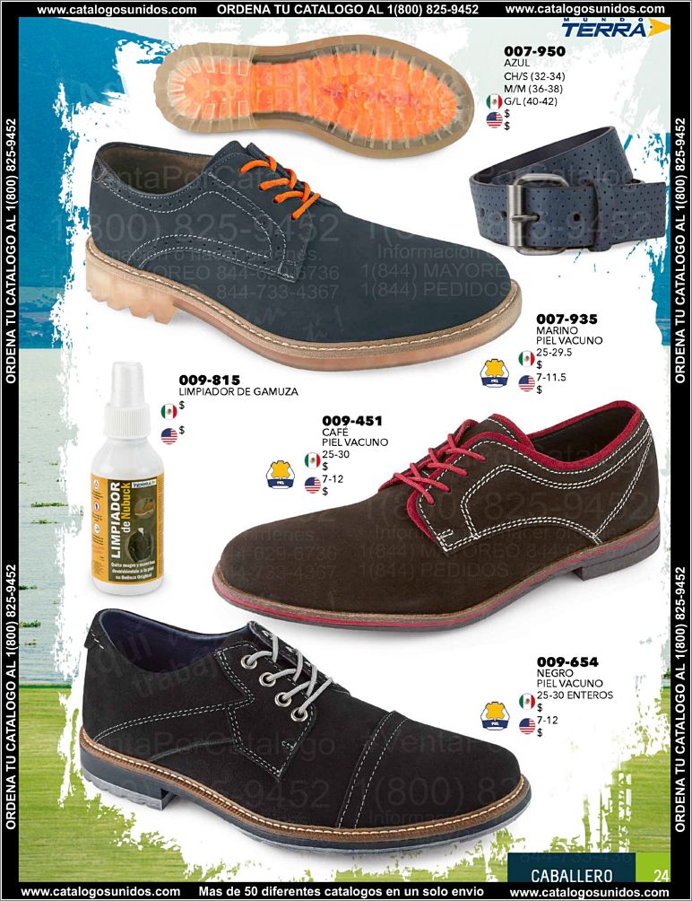 Caballero-PV15_Page_25