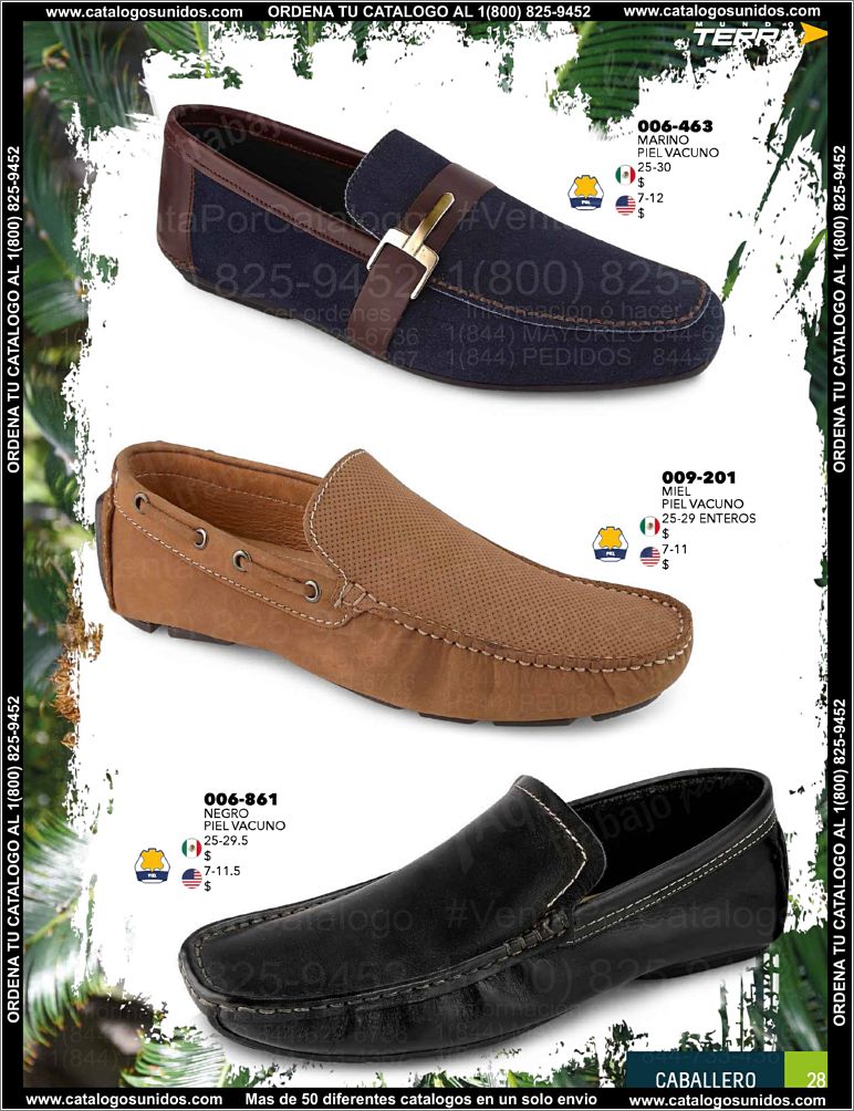 Caballero-PV15_Page_29